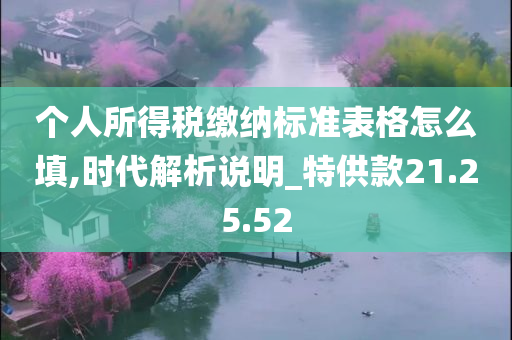 个人所得税缴纳标准表格怎么填,时代解析说明_特供款21.25.52