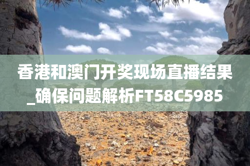 香港和澳门开奖现场直播结果_确保问题解析FT58C5985