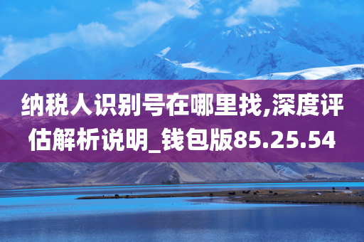 纳税人识别号在哪里找,深度评估解析说明_钱包版85.25.54