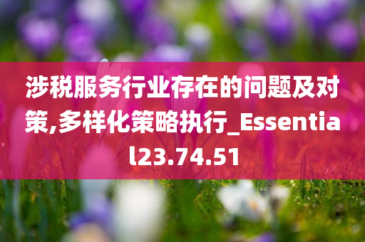 涉税服务行业存在的问题及对策,多样化策略执行_Essential23.74.51