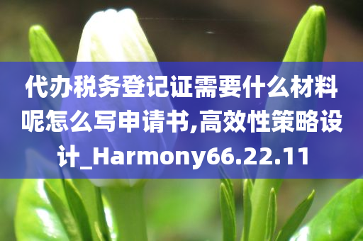 代办税务登记证需要什么材料呢怎么写申请书,高效性策略设计_Harmony66.22.11