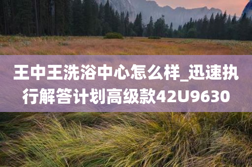 王中王洗浴中心怎么样_迅速执行解答计划高级款42U9630