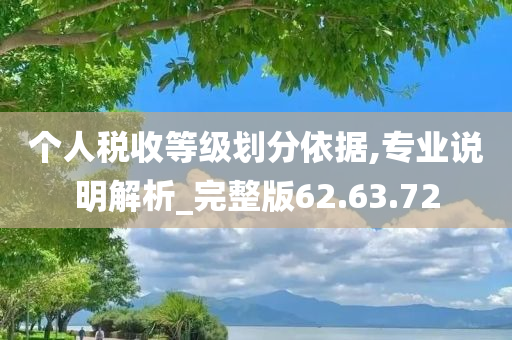 个人税收等级划分依据,专业说明解析_完整版62.63.72