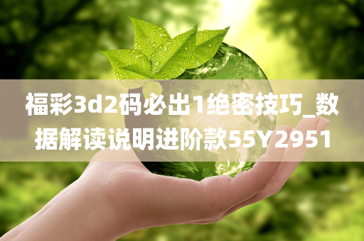 福彩3d2码必出1绝密技巧_数据解读说明进阶款55Y2951