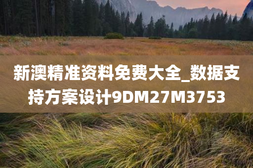 新澳精准资料免费大全_数据支持方案设计9DM27M3753