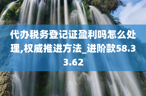 代办税务登记证盈利吗怎么处理,权威推进方法_进阶款58.33.62