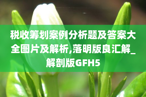 税收筹划案例分析题及答案大全图片及解析,落明版良汇解_解剖版GFH5