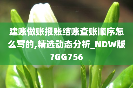 建账做账报账结账查账顺序怎么写的,精选动态分析_NDW版?GG756