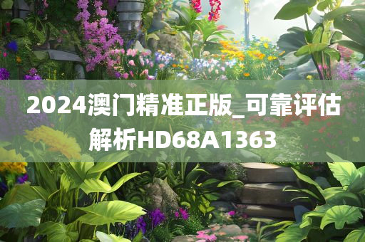 2024澳门精准正版_可靠评估解析HD68A1363