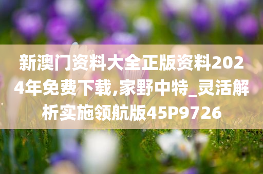 新澳门资料大全正版资料2024年免费下载,家野中特_灵活解析实施领航版45P9726