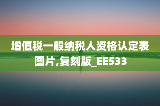 增值税一般纳税人资格认定表图片,复刻版_EE533