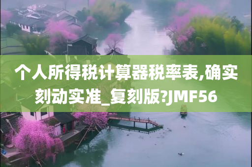 个人所得税计算器税率表,确实刻动实准_复刻版?JMF56