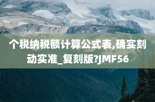 个税纳税额计算公式表,确实刻动实准_复刻版?JMF56