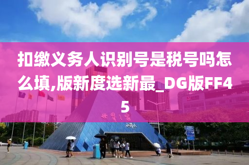 扣缴义务人识别号是税号吗怎么填,版新度选新最_DG版FF45