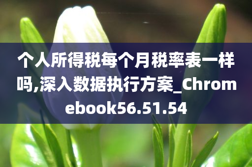 个人所得税每个月税率表一样吗,深入数据执行方案_Chromebook56.51.54