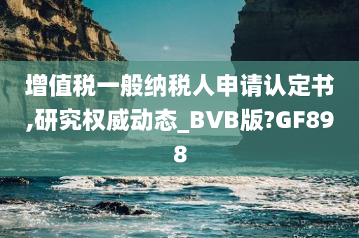 增值税一般纳税人申请认定书,研究权威动态_BVB版?GF898