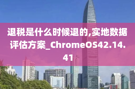 退税是什么时候退的,实地数据评估方案_ChromeOS42.14.41