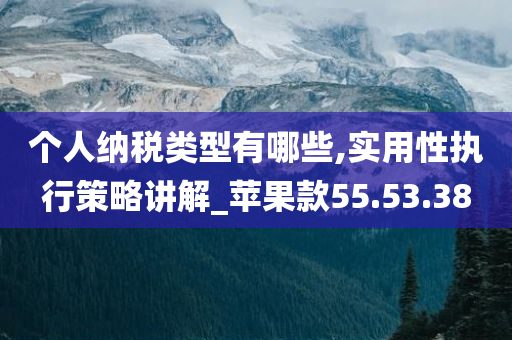 个人纳税类型有哪些,实用性执行策略讲解_苹果款55.53.38