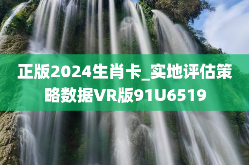 正版2024生肖卡_实地评估策略数据VR版91U6519