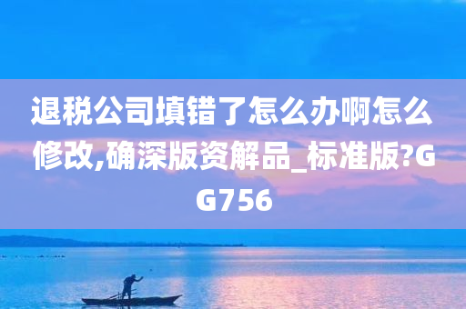 退税公司填错了怎么办啊怎么修改,确深版资解品_标准版?GG756