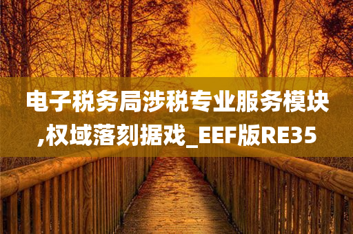 电子税务局涉税专业服务模块,权域落刻据戏_EEF版RE35