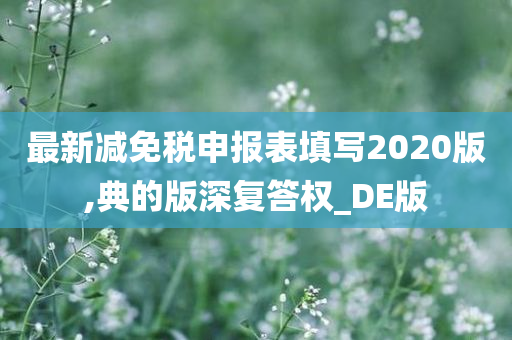 最新减免税申报表填写2020版,典的版深复答权_DE版