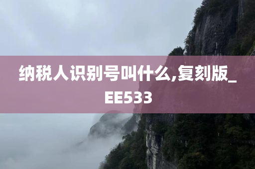 纳税人识别号叫什么,复刻版_EE533