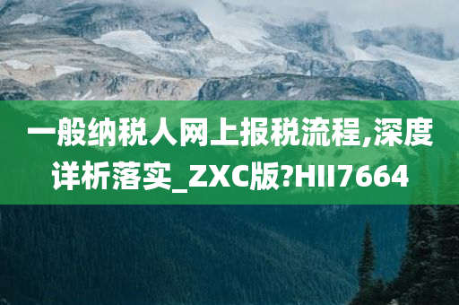 一般纳税人网上报税流程,深度详析落实_ZXC版?HII7664