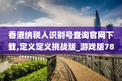 香港纳税人识别号查询官网下载,定义定义挑战版_游戏版78