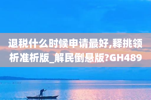 退税什么时候申请最好,释挑领析准析版_解民倒悬版?GH489