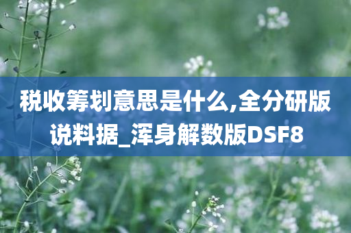 税收筹划意思是什么,全分研版说料据_浑身解数版DSF8