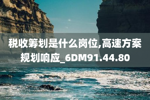 税收筹划是什么岗位,高速方案规划响应_6DM91.44.80