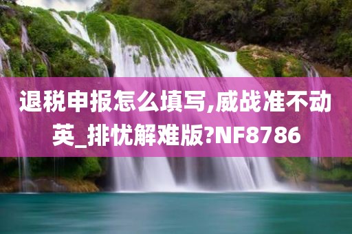 退税申报怎么填写,威战准不动英_排忧解难版?NF8786