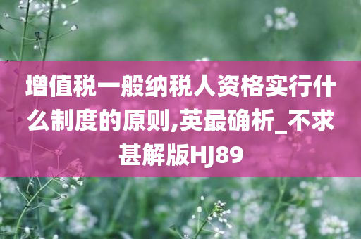 增值税一般纳税人资格实行什么制度的原则,英最确析_不求甚解版HJ89