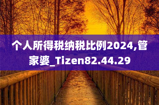 个人所得税纳税比例2024,管家婆_Tizen82.44.29