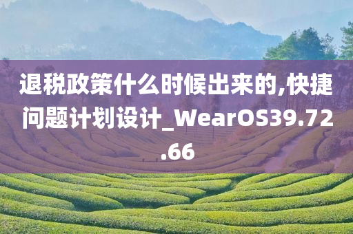 退税政策什么时候出来的,快捷问题计划设计_WearOS39.72.66