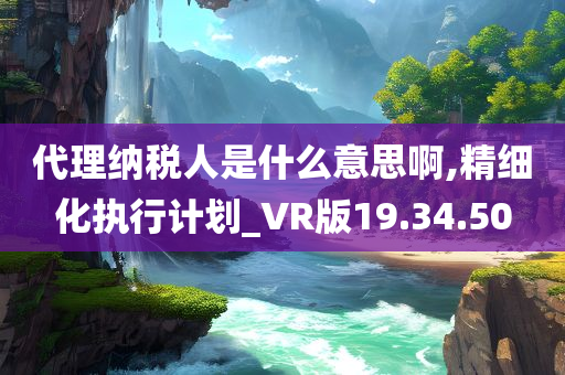 代理纳税人是什么意思啊,精细化执行计划_VR版19.34.50