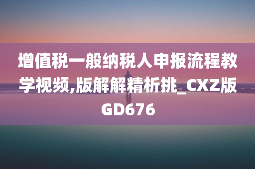 增值税一般纳税人申报流程教学视频,版解解精析挑_CXZ版GD676