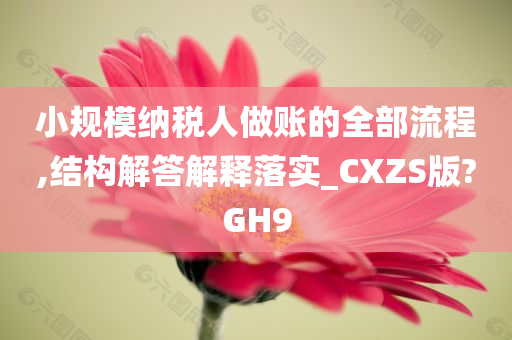 小规模纳税人做账的全部流程,结构解答解释落实_CXZS版?GH9