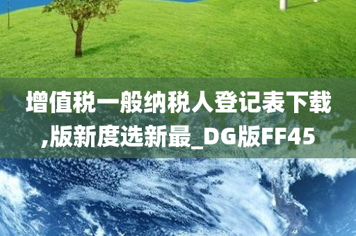 增值税一般纳税人登记表下载,版新度选新最_DG版FF45