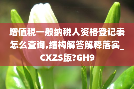 增值税一般纳税人资格登记表怎么查询,结构解答解释落实_CXZS版?GH9