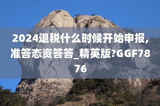 2024退税什么时候开始申报,准答态资答答_精英版?GGF7876