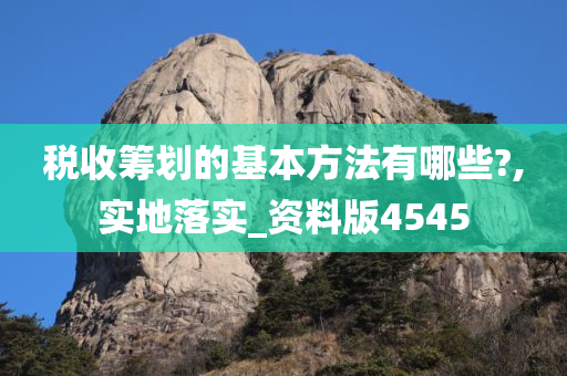 税收筹划的基本方法有哪些?,实地落实_资料版4545