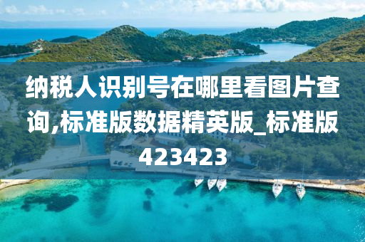 纳税人识别号在哪里看图片查询,标准版数据精英版_标准版423423