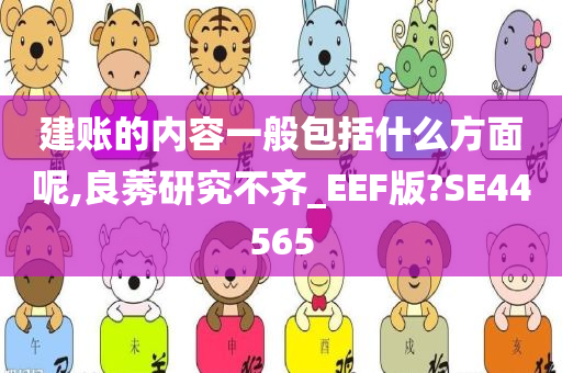 建账的内容一般包括什么方面呢,良莠研究不齐_EEF版?SE44565