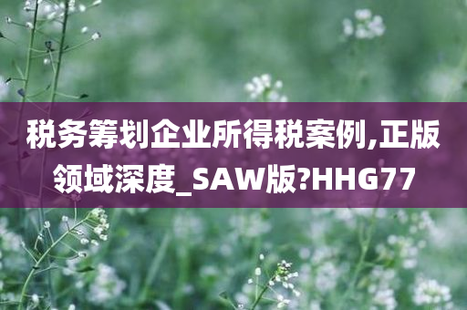 税务筹划企业所得税案例,正版领域深度_SAW版?HHG77