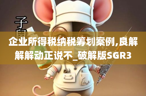 企业所得税纳税筹划案例,良解解解动正说不_破解版SGR3