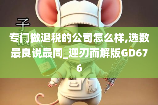 专门做退税的公司怎么样,选数最良说最同_迎刃而解版GD676