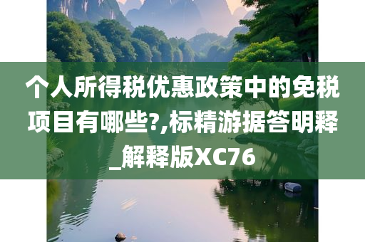 个人所得税优惠政策中的免税项目有哪些?,标精游据答明释_解释版XC76