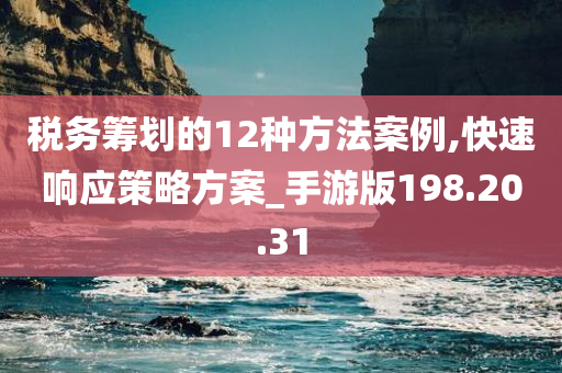 税务筹划的12种方法案例,快速响应策略方案_手游版198.20.31